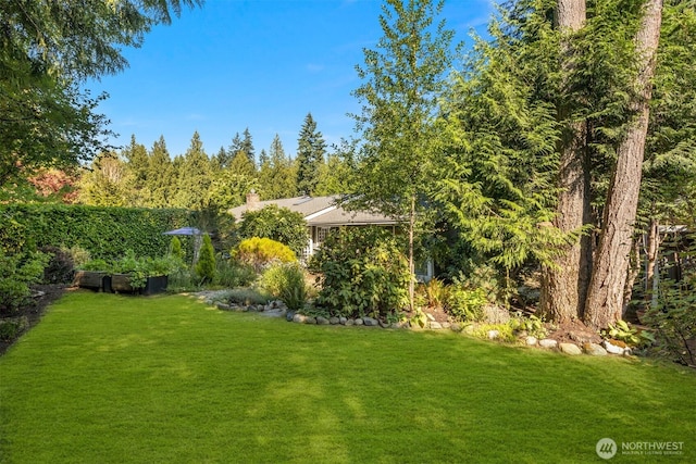 21647 SE 33rd Pl, Sammamish, WA 98075 - photo 36