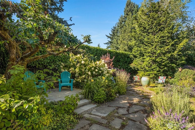 21647 SE 33rd Pl, Sammamish, WA 98075 - photo 39