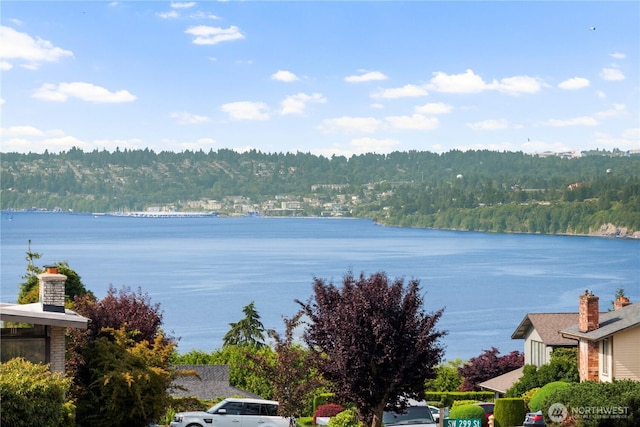 29929 4th Ave SW, Federal Way, WA 98023 - photo 11