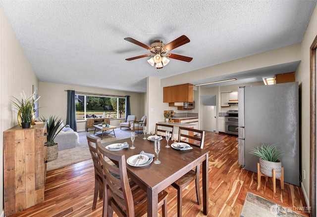 908 Glenning St, Lynden, WA 98264 - photo 10