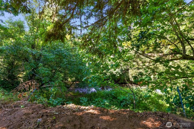 908 Glenning St, Lynden, WA 98264 - photo 36