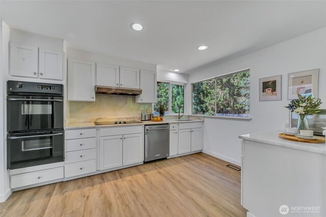 2513 165th Ave NE, Bellevue, WA 98008 - photo 10