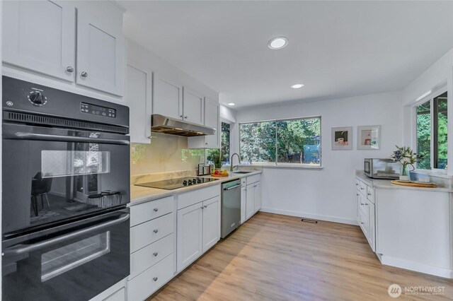 2513 165th Ave NE, Bellevue, WA 98008 - photo 11