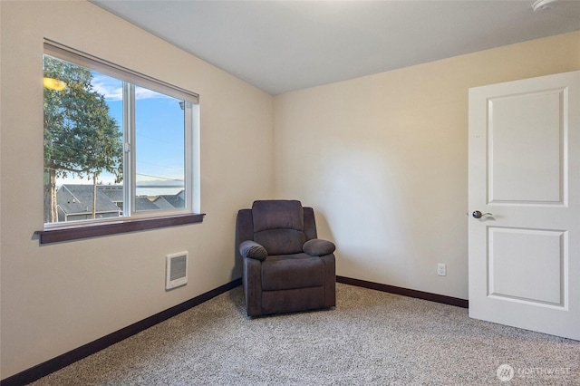 1105 Halsey Dr, Coupeville, WA 98239 - photo 22