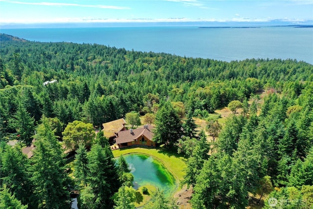 341 Mount Dallas Rd, Friday Harbor, WA 98250 - photo 27