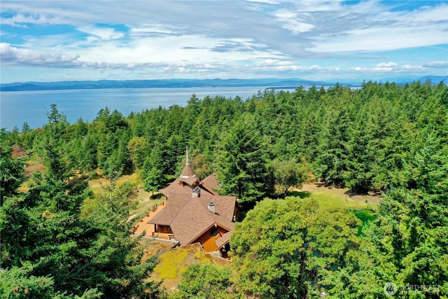 341 Mount Dallas Rd, Friday Harbor, WA 98250 - photo 28