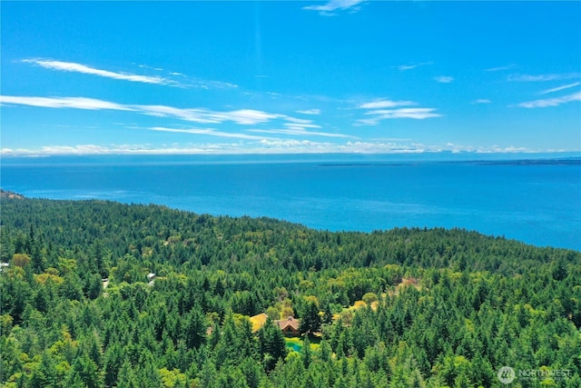 341 Mount Dallas Rd, Friday Harbor, WA 98250 - photo 30
