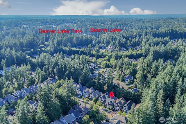 25872 SE 28th Pl, Sammamish, WA 98075 - photo 35