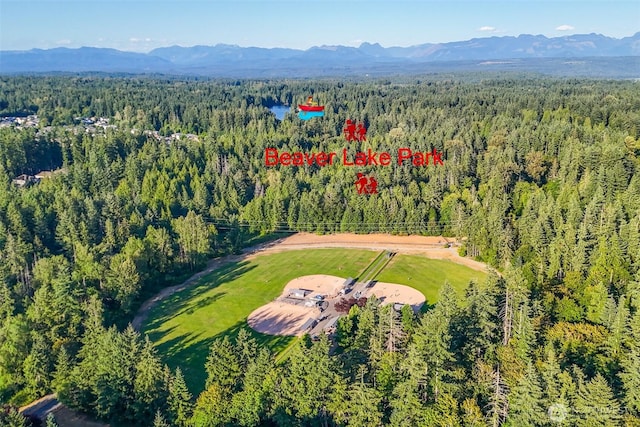 25872 SE 28th Pl, Sammamish, WA 98075 - photo 36