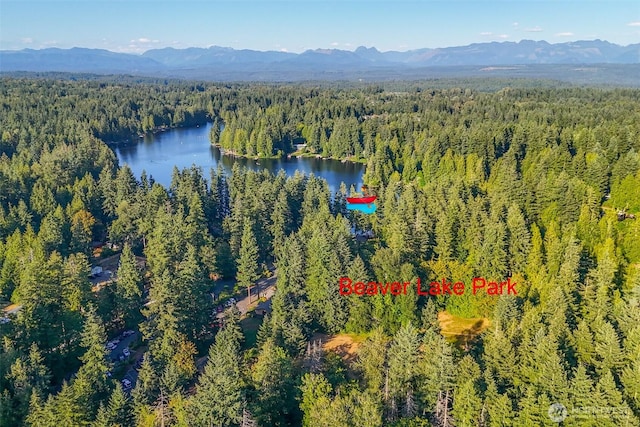 25872 SE 28th Pl, Sammamish, WA 98075 - photo 37