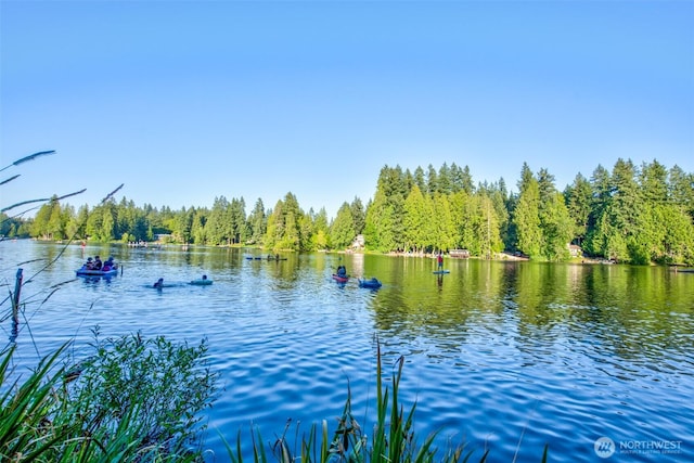 25872 SE 28th Pl, Sammamish, WA 98075 - photo 39