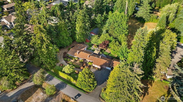 16 Diamond S Rnch, Bellevue, WA 98004 - photo 29