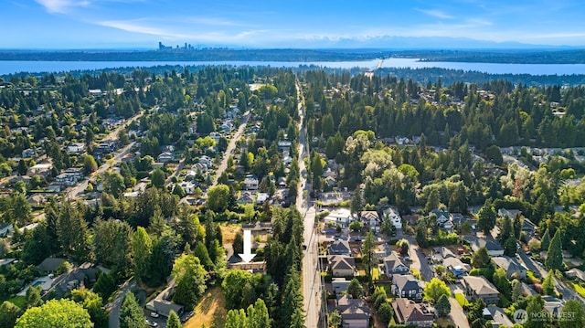16 Diamond S Rnch, Bellevue, WA 98004 - photo 39