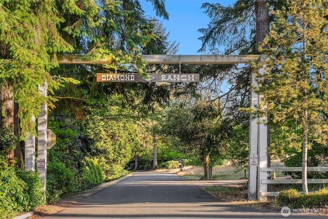 16 Diamond S Rnch, Bellevue, WA 98004 - photo 40