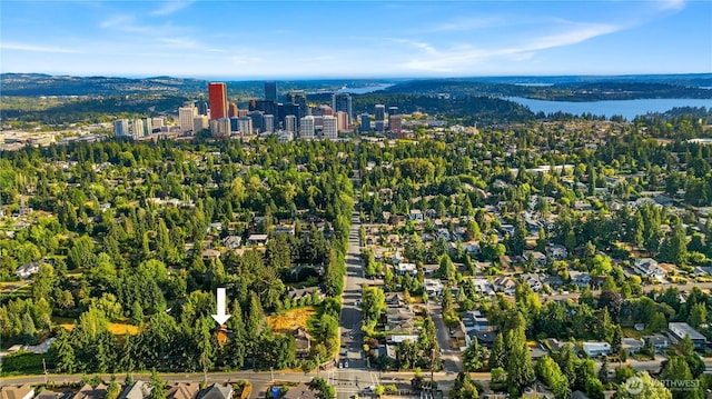 16 Diamond S Rnch, Bellevue, WA 98004 - photo 38