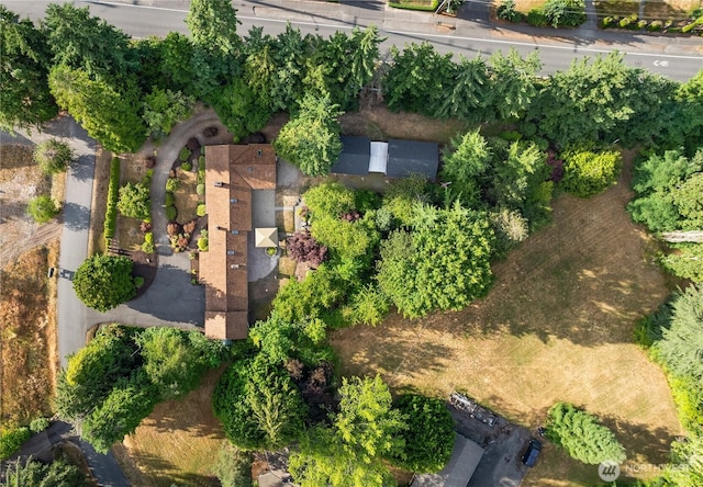16 Diamond S Rnch, Bellevue, WA 98004 - photo 37