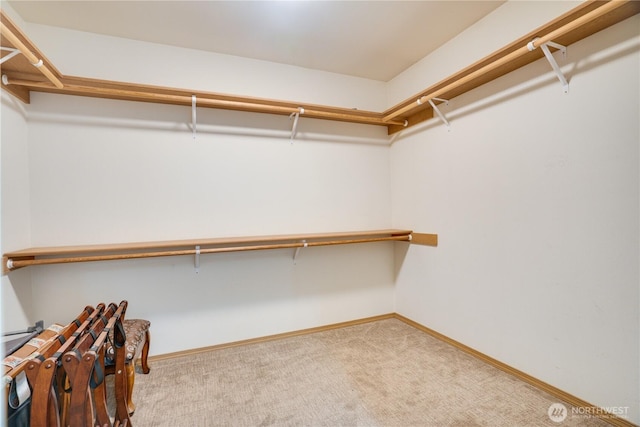 9201 188th St E, Puyallup, WA 98375 - photo 20