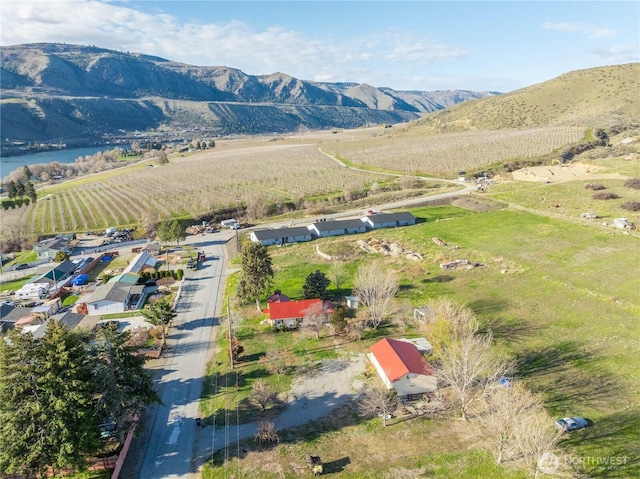 750 4th St, Chelan, WA 98817 - photo 31