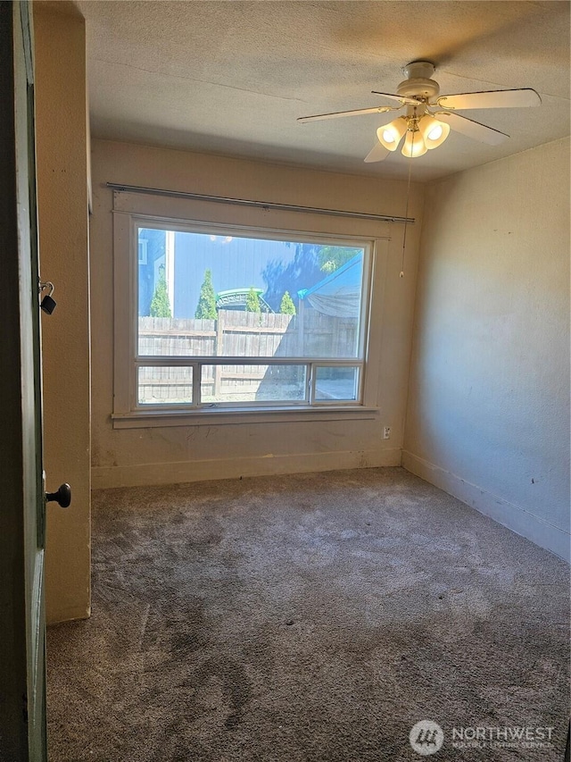 3525 E T St, Tacoma, WA 98404 - photo 17