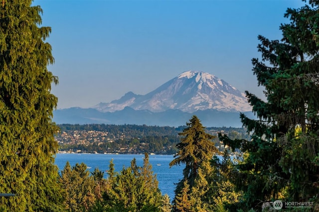 6070 Seward Park Ave S, Seattle, WA 98118 - photo 3