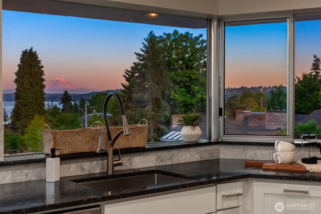 6070 Seward Park Ave S, Seattle, WA 98118 - photo 30