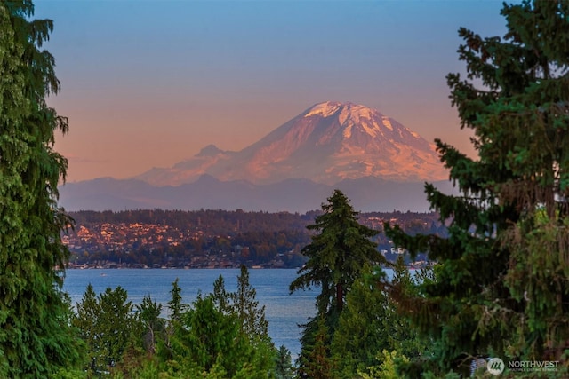 6070 Seward Park Ave S, Seattle, WA 98118 - photo 31