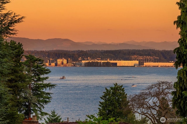 6070 Seward Park Ave S, Seattle, WA 98118 - photo 32