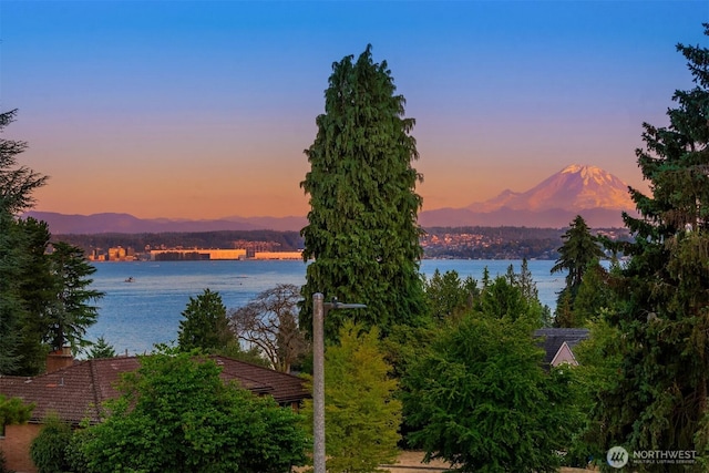 6070 Seward Park Ave S, Seattle, WA 98118 - photo 33
