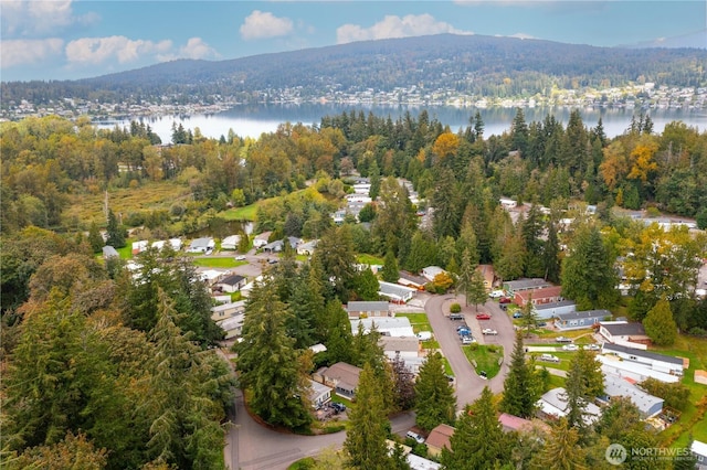 4000 Flynn St Unit 11, Bellingham, WA 98229 - photo 21