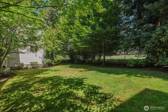 5809 Highway Pl Unit B203, Everett, WA 98203 - photo 26