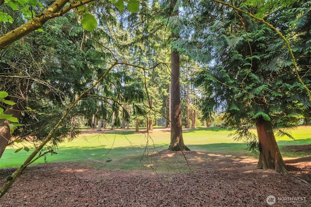 5809 Highway Pl Unit B203, Everett, WA 98203 - photo 28