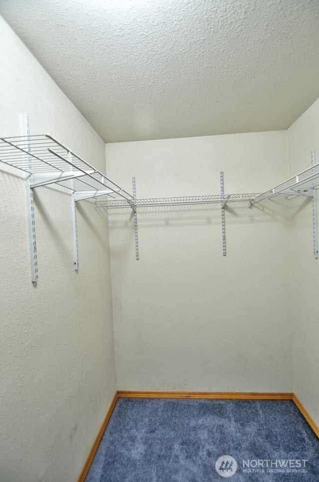 18549 Roseburg St SW, Rochester, WA 98579 - photo 16