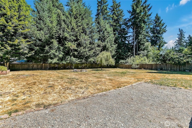 20614 114th St E, Bonney Lake, WA 98391 - photo 29