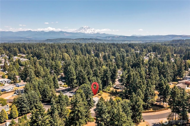 20614 114th St E, Bonney Lake, WA 98391 - photo 32