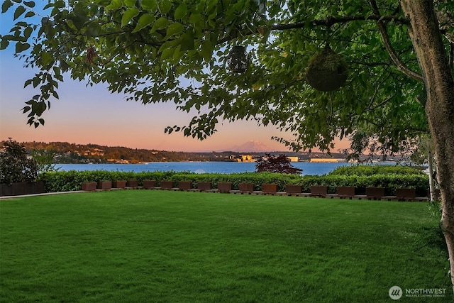 8320 Avalon Dr, Mercer Island, WA 98040 - photo 12