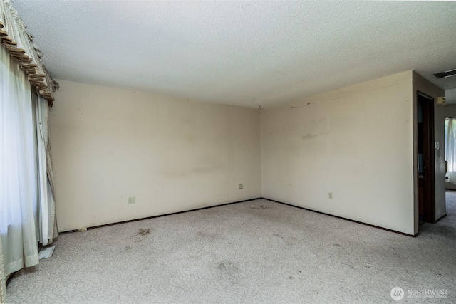 7914 6th Ave SE, Lacey, WA 98503 - photo 12