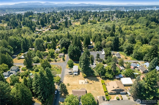 2024 12th Ave NE, Olympia, WA 98506 - photo 38