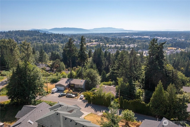 4136 Malachite Dr, Bellingham, WA 98226 - photo 35