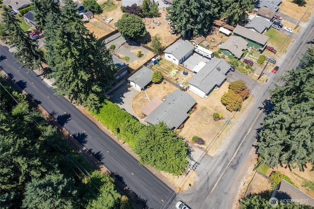 7924 50th Ave E, Tacoma, WA 98443 - photo 35