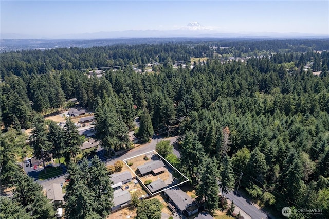 7924 50th Ave E, Tacoma, WA 98443 - photo 37