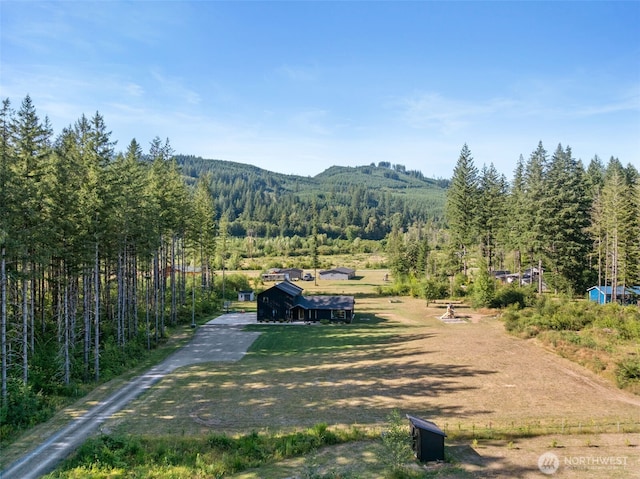 144 Sassys Creek Rd, Ariel, WA 98603 - photo 38