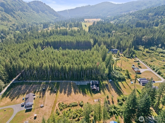 144 Sassys Creek Rd, Ariel, WA 98603 - photo 40