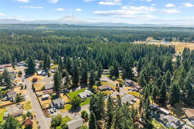 23416 51st Avenue Ct E, Spanaway, WA 98387 - photo 36
