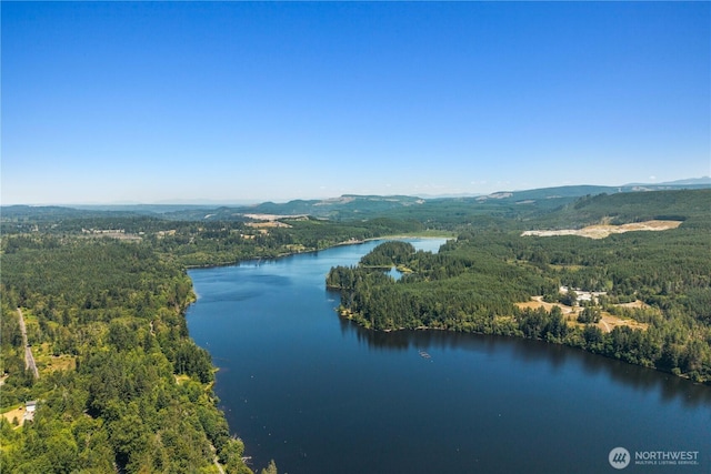 14715 318th St E, Graham, WA 98338 - photo 1