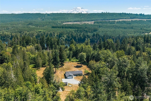 14715 318th St E, Graham, WA 98338 - photo 2