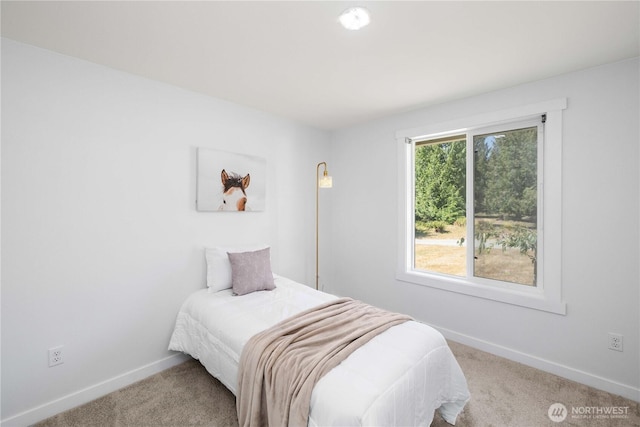 14715 318th St E, Graham, WA 98338 - photo 22