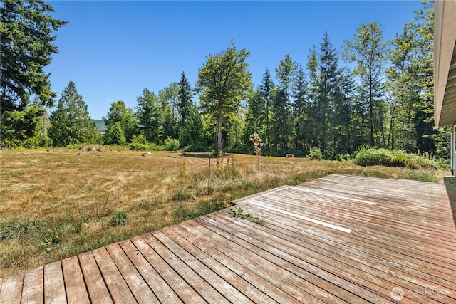 14715 318th St E, Graham, WA 98338 - photo 33