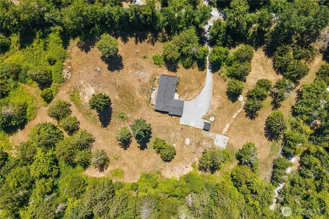 14715 318th St E, Graham, WA 98338 - photo 35