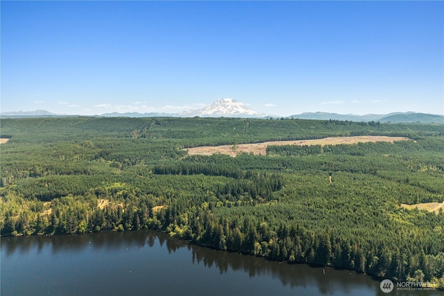 14715 318th St E, Graham, WA 98338 - photo 39