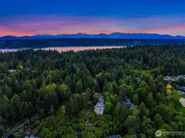 6715 NE Dapple Ct, Bainbridge Island, WA 98110 - photo 5